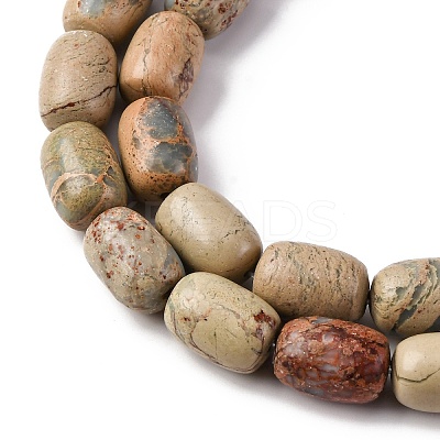 Natural Aqua Terra Jasper Beads Strands G-L624-C03-14x10mm-1