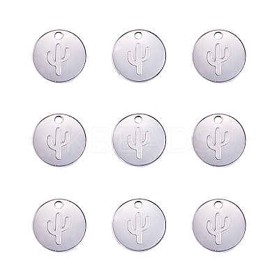 304 Stainless Steel Charms STAS-CJ0001-225-1