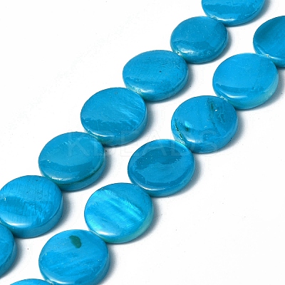 Spray Painted Natural Freshwater Shell Beads Strands SHEL-C003-05H-1