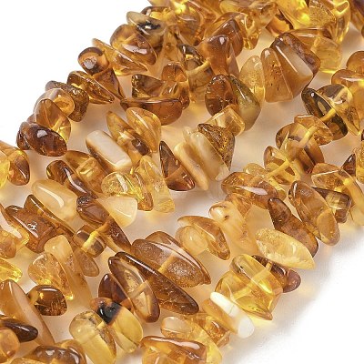 Natural Amber Beads Strands G-L095-D01-01-1