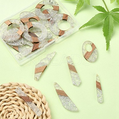 20Pcs 10 Styles Transparent Resin & Walnut Wood Pendants RESI-YW0001-30-1