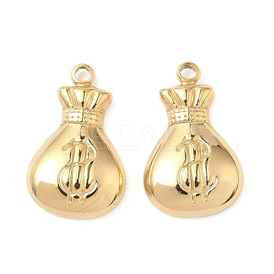 304 Stainless Steel Pendants STAS-C134-27G-1