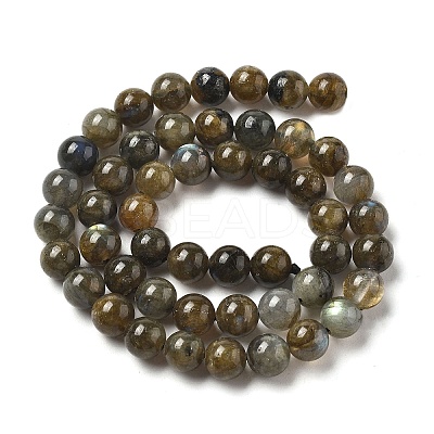 Natural Labradorite Beads Strands G-I253-01-1