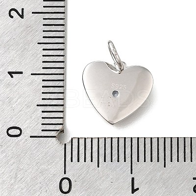 925 Sterling Silver Micro Pave Clear Cubic Zirconia Charms STER-V001-01P-12-1