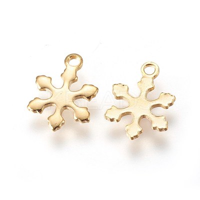 304 Stainless Steel Charms STAS-E447-10G-1
