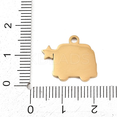304 Stainless Steel Pendants SA-CBAE30B-03C-G-1
