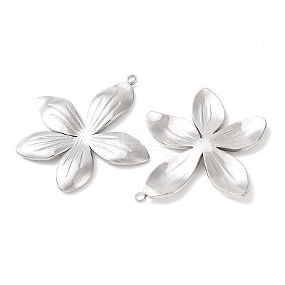 304 Stainless Steel Pendants STAS-A133-02C-P-1