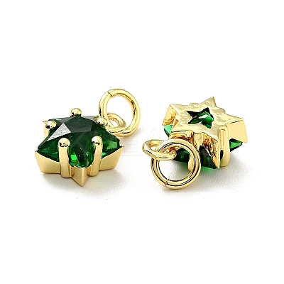 Eco-friendly Brass Micro Pave Cubic Zirconia Pendants LS-KK-D080-44G-04-1