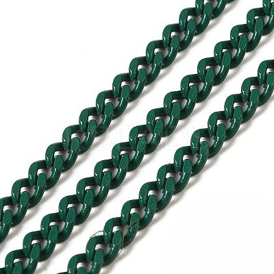 Spray Painted 304 Stainless Steel Curb Chains STAS-B067-05B-07-1