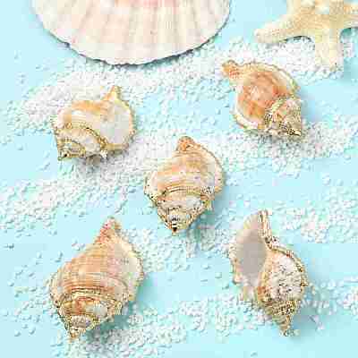 5Pcs Natural Sea Shell Big Pendants with Golden Brass Edge BSHE-YW0001-16-1