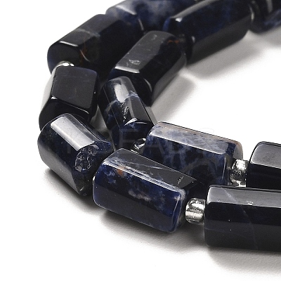 Natural Sodalite Beads Strands G-N327-06-28-1