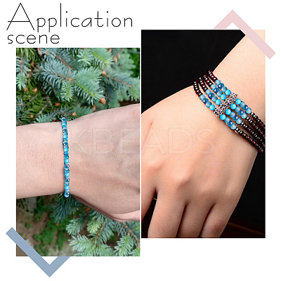2 Strands Natural Apatite Beads Strands G-HY0001-94-1