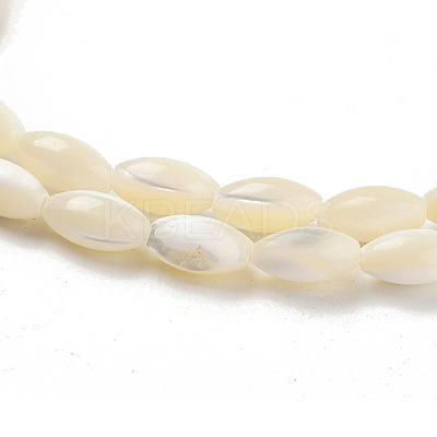 Natural Trochid Shell/Trochus Shell Beads Strands PBB513Y-1