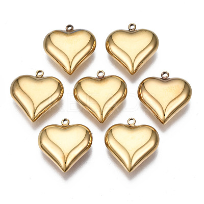 316 Surgical Stainless Steel Pendants STAS-N097-073-1