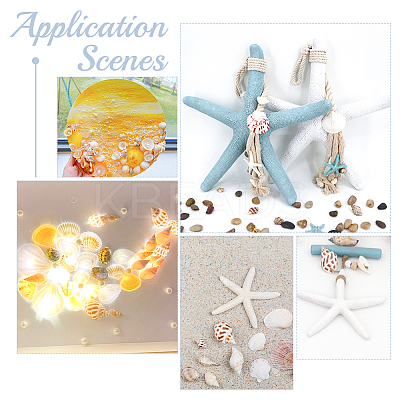Natural Shell & Starfish Resin Cabochons Decorations SHEL-AR0001-13-1