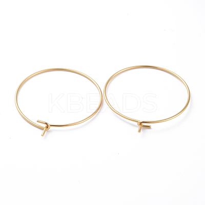 316 Surgical Stainless Steel Hoop Earring Findings X-STAS-J025-01C-G-1