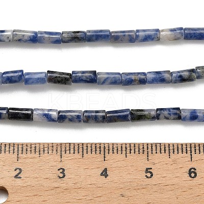 Natural Blue Spot Jasper Beads Strands G-P600-B05-01-1
