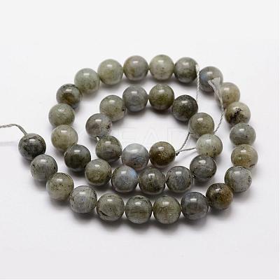 Natural Labradorite Bead Strands G-O155-05A-6mm-1
