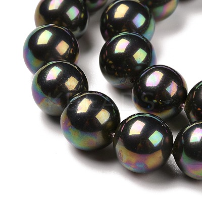 Shell Pearl Bead Strands BSHE-L025-05-6mm-1