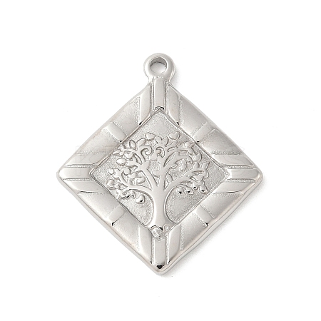304 Stainless Steel Pendants STAS-L022-041P-1