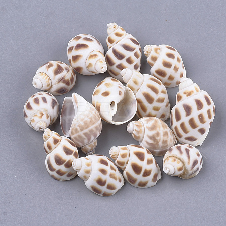 Spiral Shell Beads X-SSHEL-S258-61-1