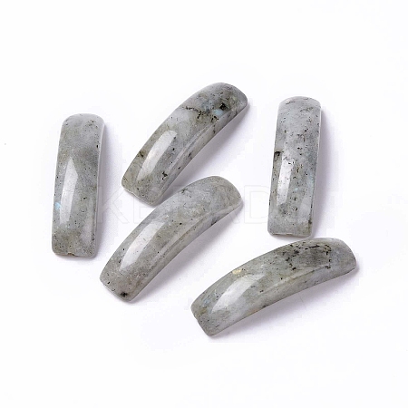 Natural Labradorite Connector Charms G-C015-01B-1