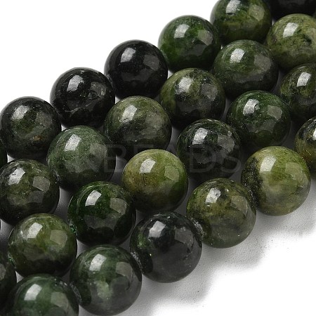 Natural Green Diopside Beads Strands G-K382-B01-03-1