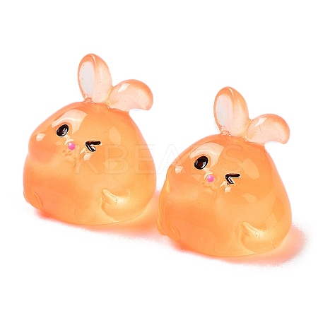 Luminous Resin Rabbit Ornament CRES-M020-03F-1