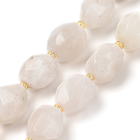 Natural Rainbow Moonstone Beads Strands G-P541-A01-01-1