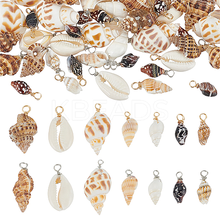 140Pcs 14 Styles Natural Mixed Shell Pendants PALLOY-ME00021-1