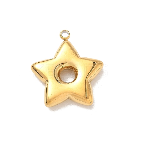 304 Stainless Steel Pendants LS-STAS-L301-13G-1
