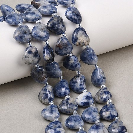 Natural Blue Spot Jasper Beads Strands G-NH0069-A08-1