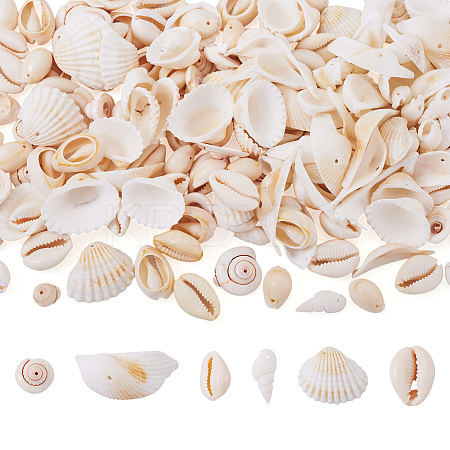 DIY Natural Shell Jewelry Making Finding Kits DIY-BT0001-37-1