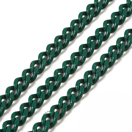 Spray Painted 304 Stainless Steel Curb Chains STAS-B067-05B-07-1