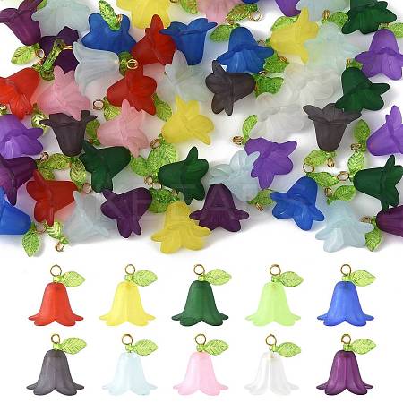 50Pcs Transparent Acrylic Pendants PALLOY-FS00043-05-1