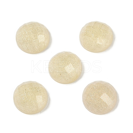 Translucent Epoxy Resin Glitter Powder Decoden Cabochons CRES-S367-13B-05-1