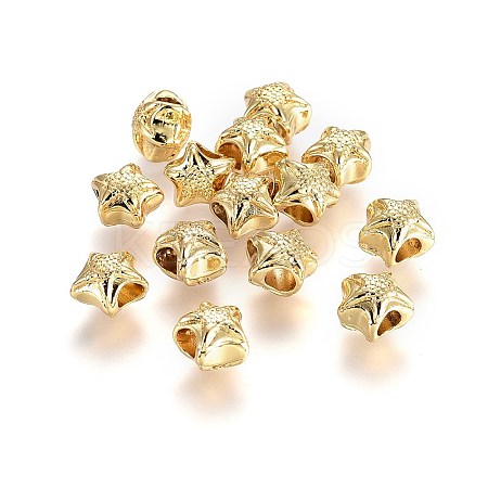 Alloy Beads TIBEB-A004-010G-NR-1
