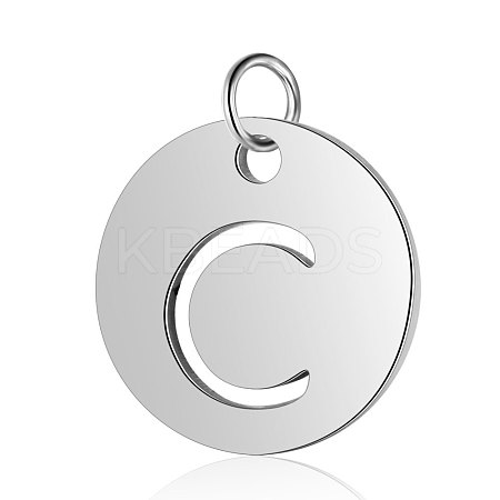 304 Stainless Steel Charms LS-STAS-WH0014-01C-1