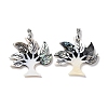 Natural Paua Shell & Black Lip Shell & White Shell Pendants FIND-A041-02D-P-1