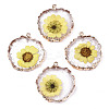 Transparent Clear Epoxy Resin & Dried Flower Pendants X-RESI-S383-074-1