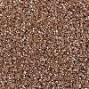 MIYUKI Delica Beads X-SEED-J020-DB1221-3