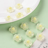Transparent Acrylic Beads TACR-S152-09C-07-6