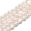 Natural Cultured Freshwater Pearl Beads Strands PEAR-N028-05-2