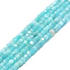 Natural Amazonite Beads Strands G-P457-B01-34-1