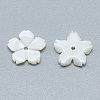 Freshwater Shell Beads X-SHEL-S275-033-2