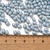 Baking Paint Glass Seed Beads SEED-C004-04H-4