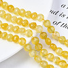 Natural Agate Beads Strands G-N326-100A-13-2