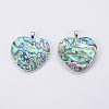 Abalone Shell/Paua Shell Pendants SSHEL-L008-30P-2