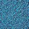 TOHO 11/0 Round Beads X-SEED-TR11-0023BF-2