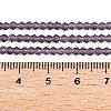 Imitate Austrian Crystal Frosted Glass Beads Strands EGLA-A039-T6mm-MD04-5